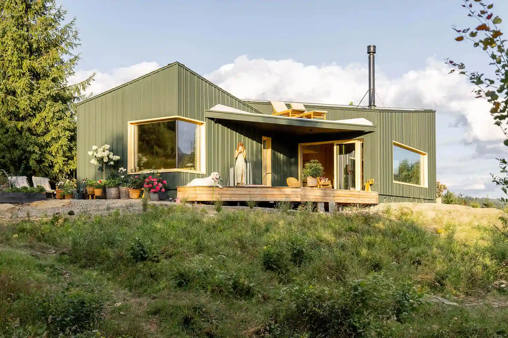 Modernes grünes Ferienhaus mit Terrasse steht in naturnaher Umgebung.
